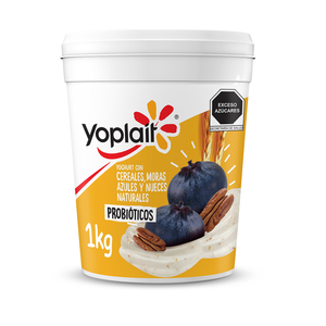 YOGHURT BATIDO CEREALES MORA 1KG YPT