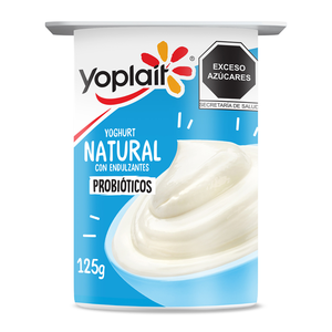 YOGHURT BATIDO NATURAL 125 G YPT