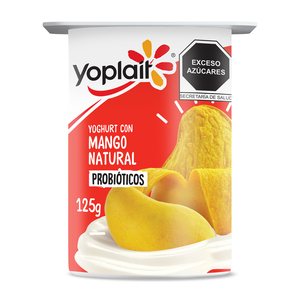 YOGHURT BATIDO MANGO 125 G YPT