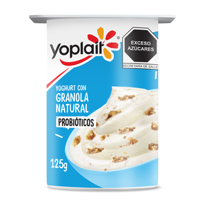 YOGHURT BATIDO NATURAL/GRANOLA 125 G YPT