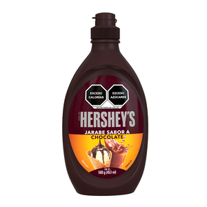 SYRUP CHOCOLATE 24/589 G